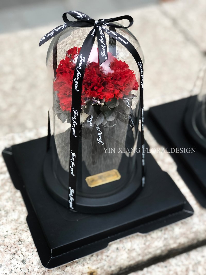 Mother's Day imported carnation immortal without withering red impression FloralDesign exclusive production - Items for Display - Plants & Flowers Red