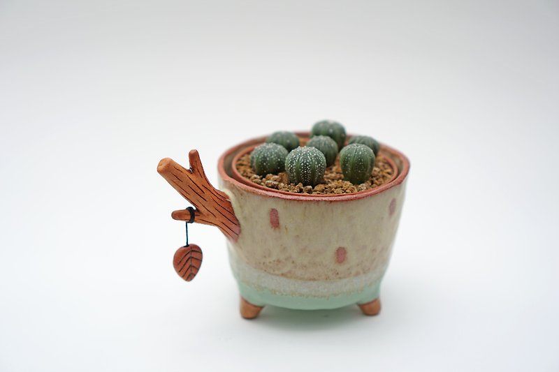植物サボテンサボテン盆栽手作りセラミック - 観葉植物 - 陶器 多色