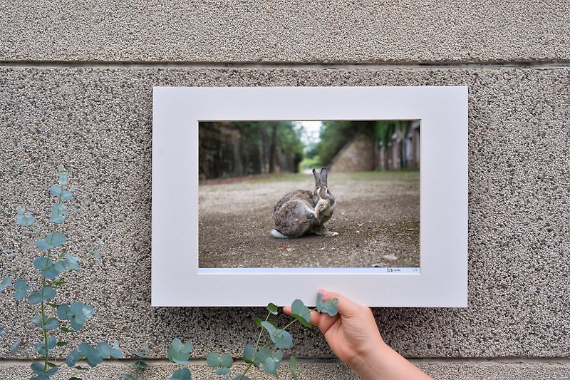 限量兔子攝影藝術原作 - 俏皮 - 擺飾/家飾品 - 紙 咖啡色