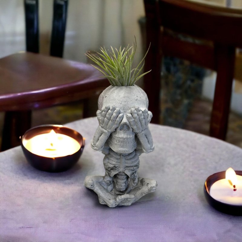 -I don’t want to see- Skeleton bone air pineapple diffuser Stone decoration potted plant - Plants - Plants & Flowers Gray