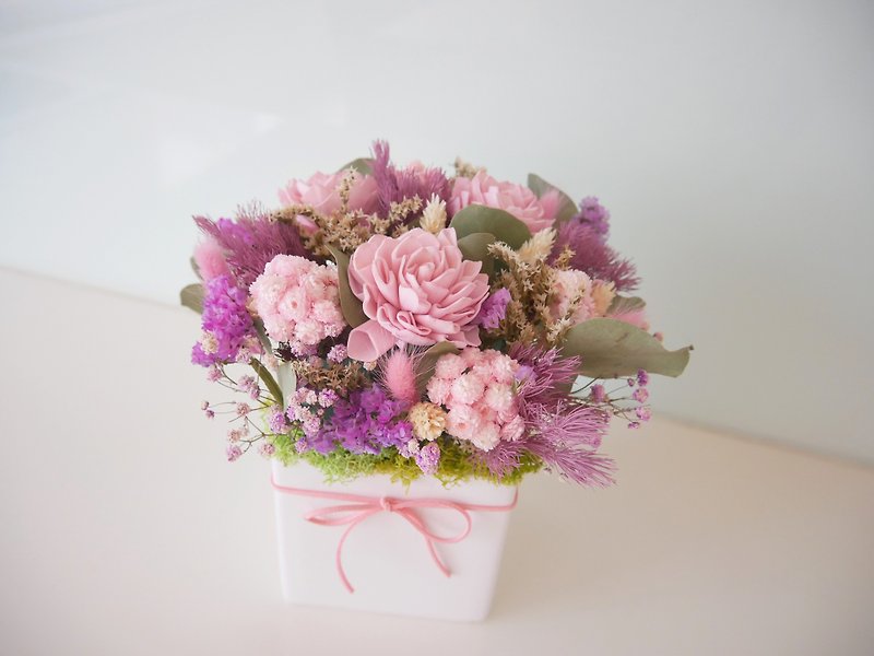 Large and medium-sized dry flowerpot flowers in square pots [Early spring pink daisies] dry flowerpot flowers/opening gift/newly married - ตกแต่งต้นไม้ - พืช/ดอกไม้ สึชมพู
