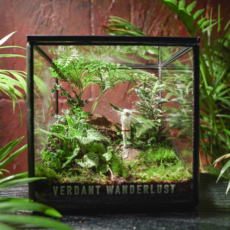 【生態缸－失落的伊甸園】微景觀 室內植栽 禮物 辦公室擺設 - 盆栽/植栽 - 植物．花 綠色