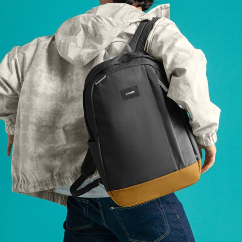 Pacsafe 臺灣總代理 Pacsafe GO | 五大專利防盜 隨行防盜後揹包 25L 黑色