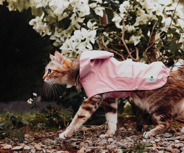 Cat terrain outlet jacket