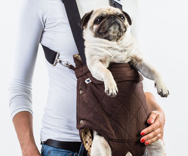 Pug in outlet baby carrier