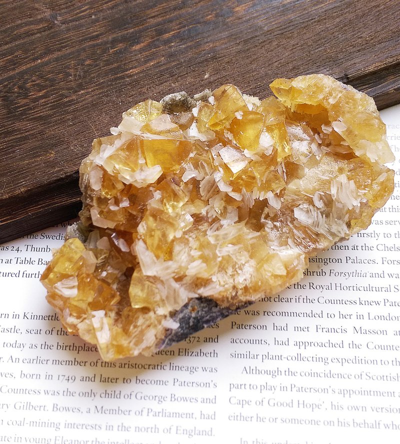 Calcite 福建產地 蜂蜜方解石 天然礦石 原礦 - 擺飾/家飾品 - 其他材質 