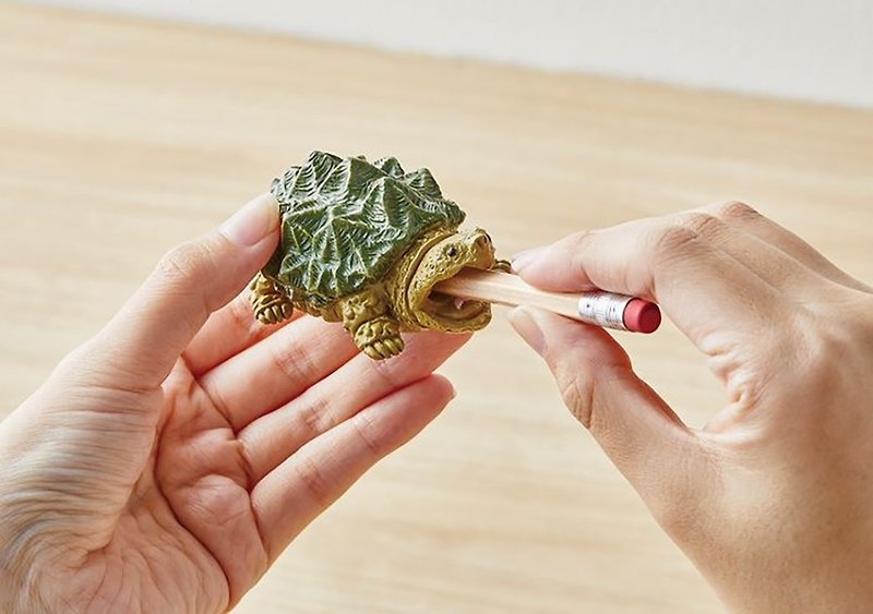 Japan Magnets Healing Series Snapping Turtle Shape Pencil Sharpener/Pencil Sharpener - Other - Resin Green