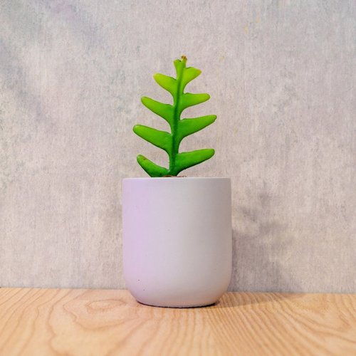 巧繪網植物館 鯊魚劍 桌上型光滑水泥盆栽 觀葉植物 禮物 盆栽 交換禮物