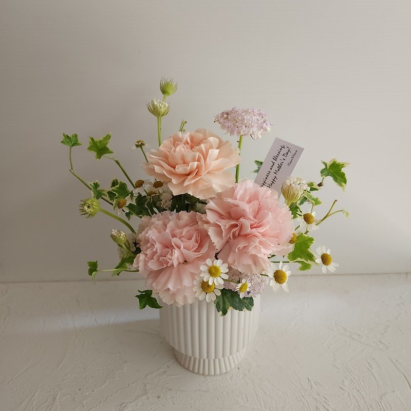 flowers. Love mommy. Fresh apricot powder Mother's Day flower pot. M3 pcs/L6 pcs. Welcome to pick up - ตกแต่งต้นไม้ - พืช/ดอกไม้ สึชมพู