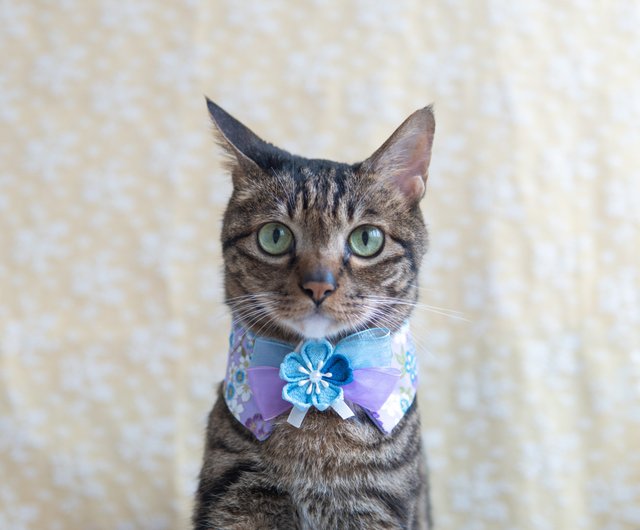 パープル猫さん専用ページ パープル猫さん専用ページ 【公式通販】