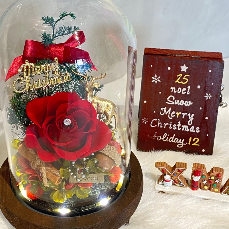 Christmas Night Light Preserved Flowers Comes with Gift Box and Battery - Dried Flowers & Bouquets - Plants & Flowers Red