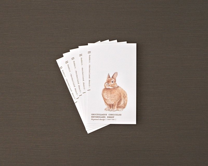 Rabbit business card message card - การ์ด/โปสการ์ด - กระดาษ สีกากี