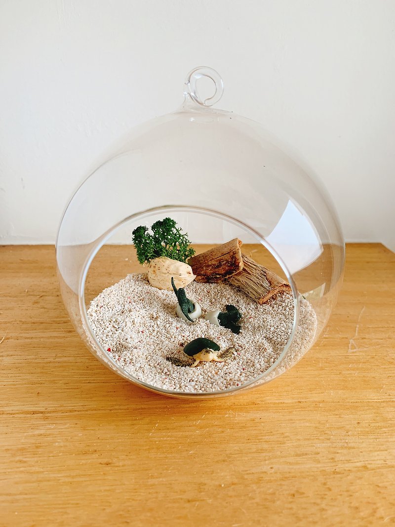 純自然 小海龜 diy組 玻璃球 海灘 海龜孵化 送禮 小物 diy ocean - 陶藝/玻璃 - 玻璃 卡其色