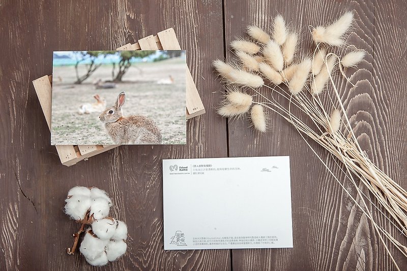 Rabbit Photography Postcard-Everyone is drunk, I wake up alone - การ์ด/โปสการ์ด - กระดาษ สีกากี