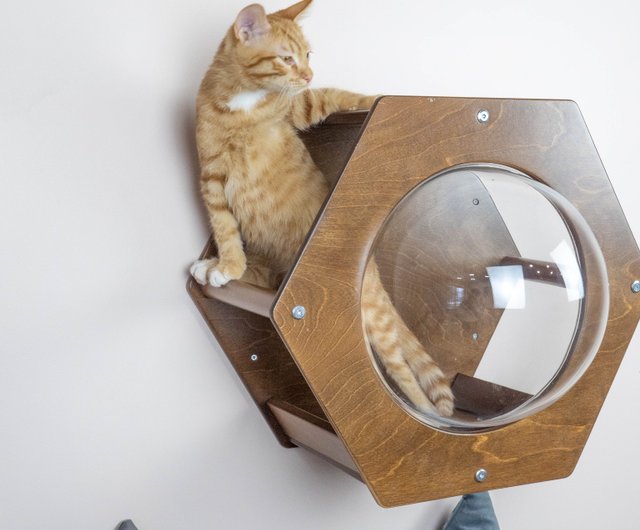 Cat bed outlet shelf