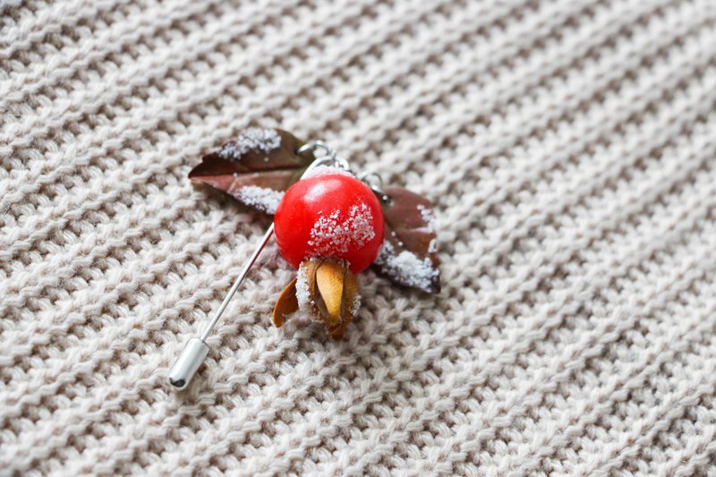 Brooch Rosehip Winter Brooch Unique Gift - 胸針 - 黏土 紅色