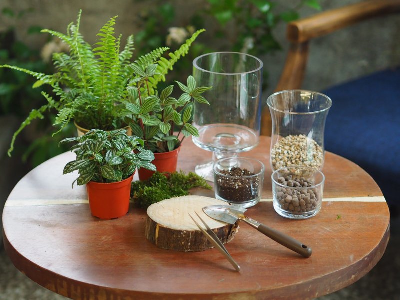 居家生活綠手指 生態瓶 DIY 材料包 - 花藝/盆栽/植栽 - 植物．花 
