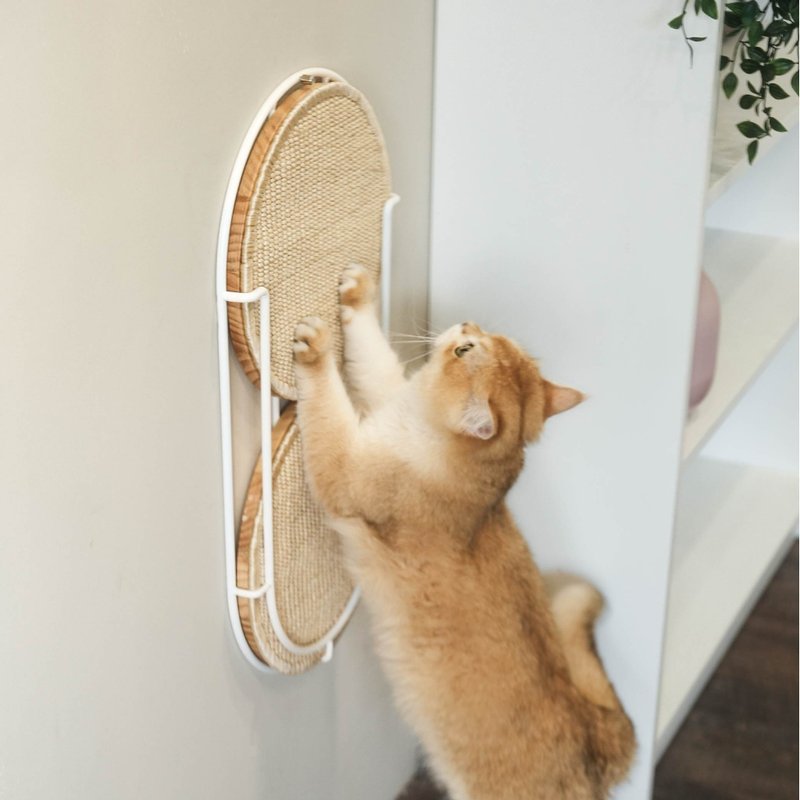 Locus Interchangeable Cat Scratcher - อุปกรณ์แมว - วัสดุอื่นๆ หลากหลายสี