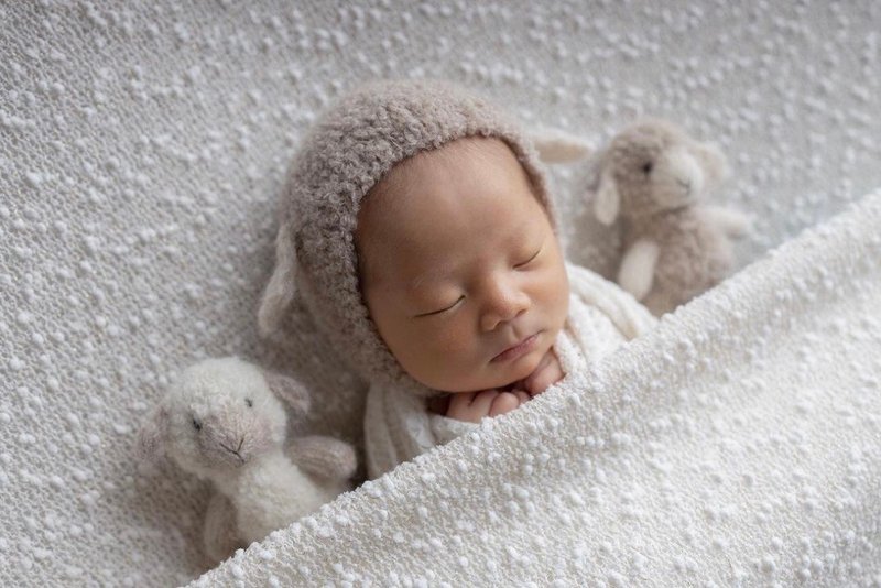 Newborn photo prop lamb set: toy Lamb and matching bonnet - เครื่องประดับ - ขนแกะ 