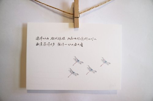 一把蔥 雜燴工作室 動物與牠的詩25/ 蜻蜓/ 手繪 /卡片 明信片