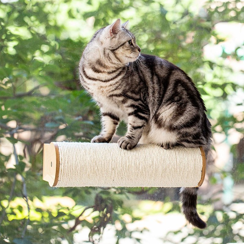 [mysig Meow Walking in the Sky] Suspension grabbing column/resistance to scratching and no chipping/horizontal placement is an empty bridge - Scratchers & Cat Furniture - Wood 