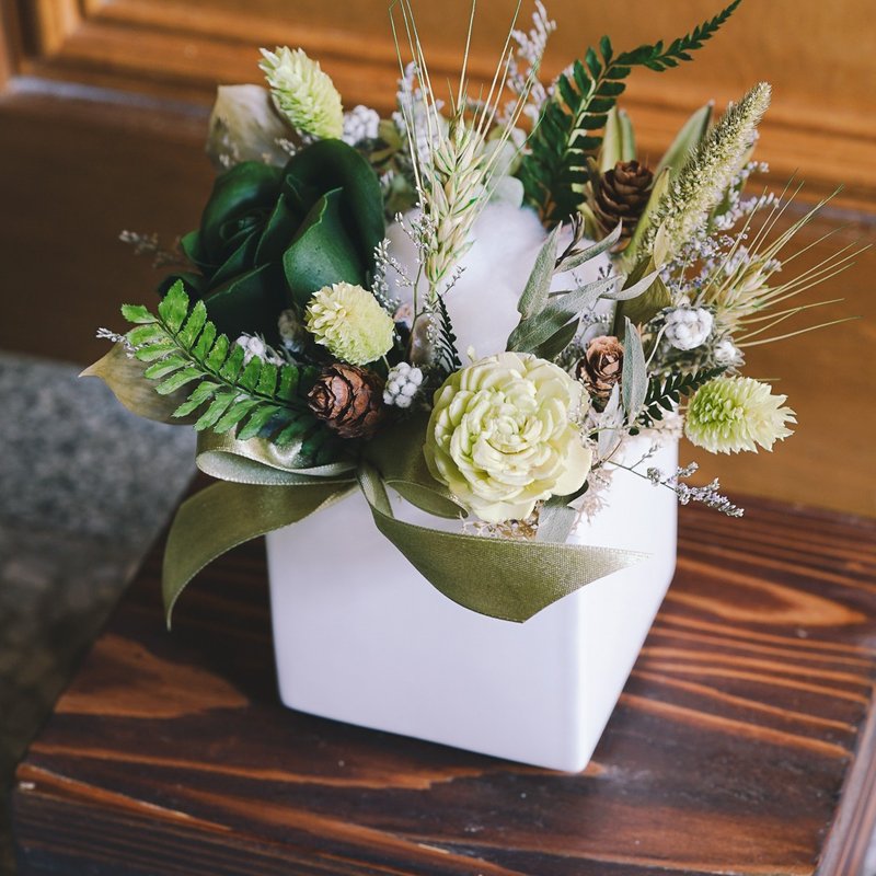 [Dry Potted Green Apple Paradise] The first choice for gift giving to celebrate the opening of a new home - Dried Flowers & Bouquets - Plants & Flowers Green