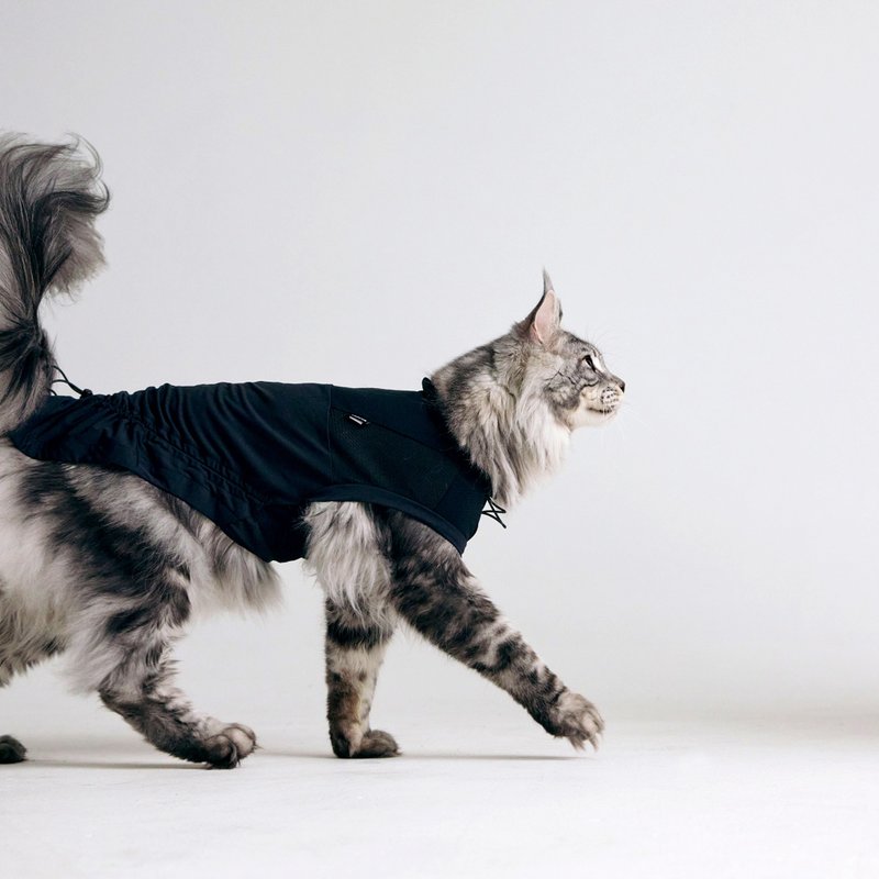 Sorbet -Pet Cooling Vest - ชุดสัตว์เลี้ยง - วัสดุอื่นๆ 