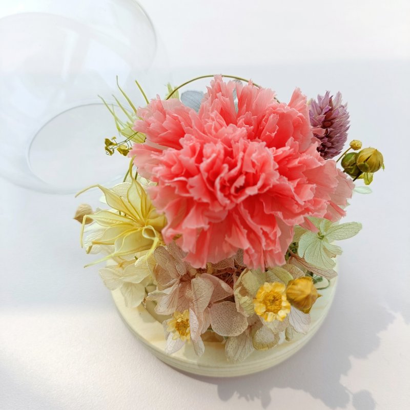 永生康乃馨玫瑰玻璃盅罩 生日開幕店面居家佈置七夕情人節花束中 - 乾燥花/永生花 - 植物．花 粉紅色