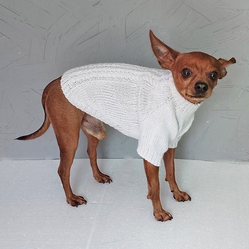 Knitted sweater for a dog Sweater for a small dog Warm sweater Dog clothes - 寵物衣服 - 繡線 白色