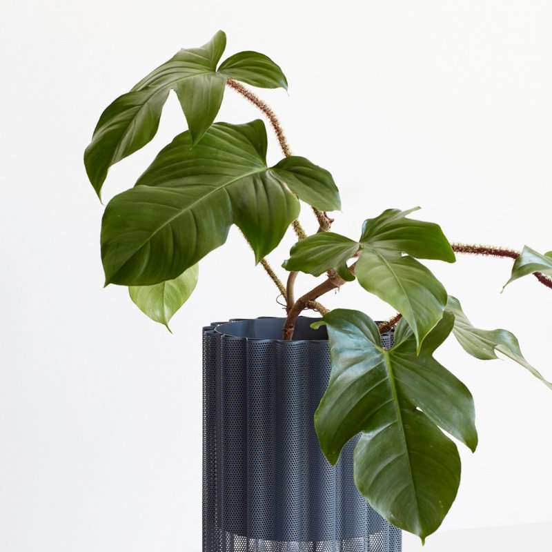 【Hübsch】－990904 灰色金屬曲線網狀盆器 植栽 盆栽 - 盆栽/植栽 - 其他金屬 灰色