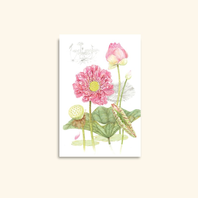 Journey of the red lotus , Watercolor Greeting Card : Botanical Art Print - 卡片/明信片 - 紙 