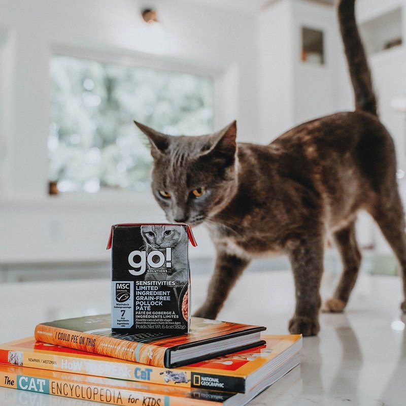 [Cat Staple Food Can] go! NOW Fresh Tetra Pak Meal Pack 182g Cat Can - อาหารแห้งและอาหารกระป๋อง - อาหารสด 