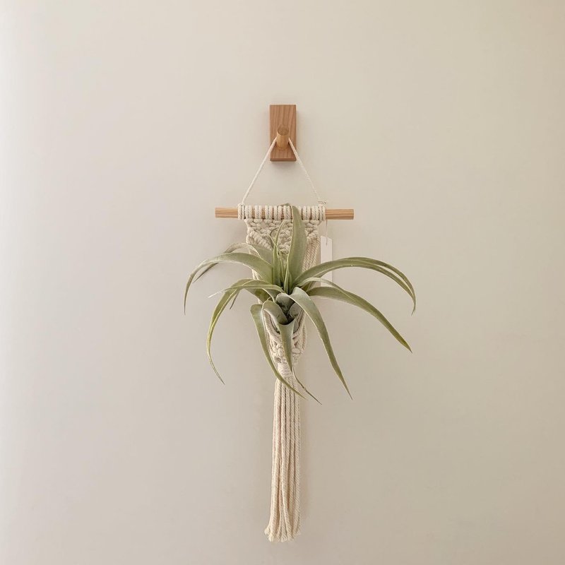 Macrame 小物 盆栽 空鳳 原木掛飾 編織 吊飾 - 擺飾/家飾品 - 棉．麻 白色