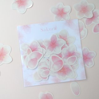 Cherry blossom transparent sticker pack