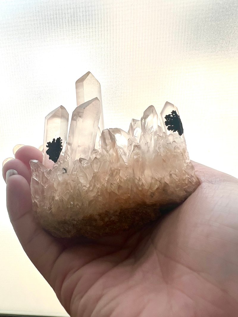 Double black tourmaline white crystal symbiotic crystal cluster/purification/healing/meditation/ornament/can stand - Items for Display - Crystal Transparent