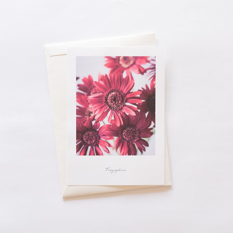 花のポスター Fragsphereエディション ガーベラ A4サイズ FEWP-005A - ポスター・絵 - 紙 