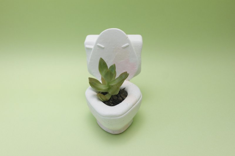 水泥盆器 多肉植物 -馬桶 - 盆栽/植栽 - 紙 多色