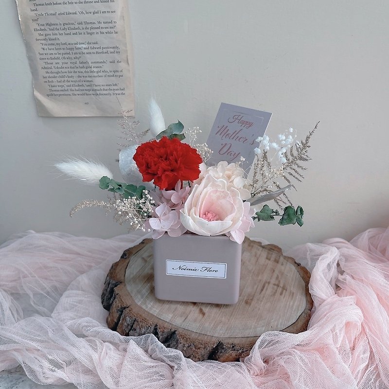 Noemie fleurs • Lost Flower Island | Everlasting Carnation Pot | Mother's Day Pot - ช่อดอกไม้แห้ง - พืช/ดอกไม้ สีแดง