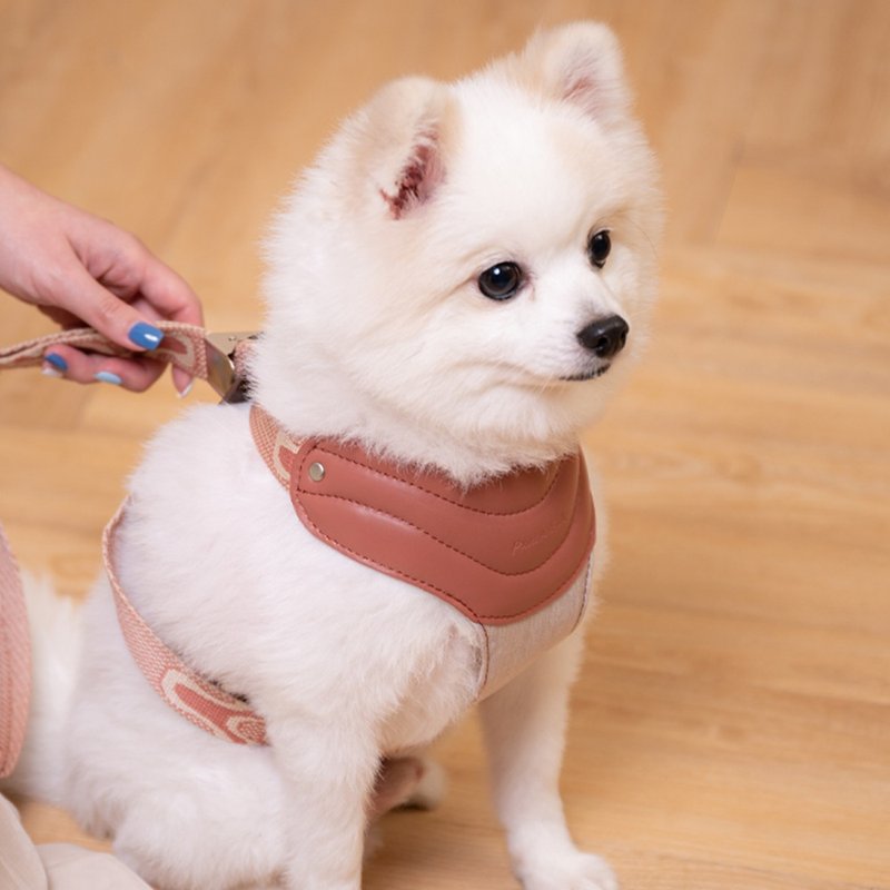 【Pawlaneta】 Milky Covered Harness Three Colors - Other - Genuine Leather 