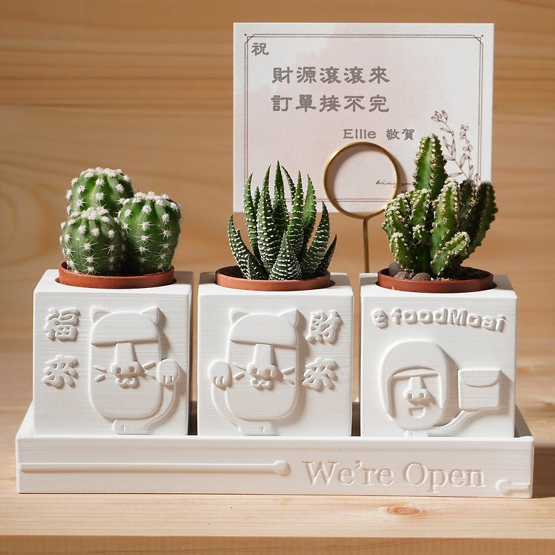 [Opening Ceremony 2] | We're Open Lucky Moai | 4-piece set of succulent Cement potted plants - Plants - Cement White