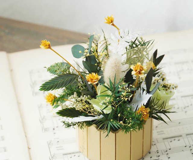 Other Dried Plants - Green Floral Crafts