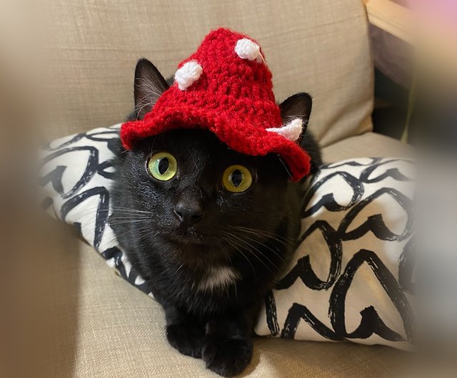 Mushroom hat cat - Crochet bucket hat -Crochet Cat Hat , Cat in