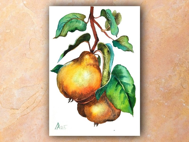 Quince painting original watercolor art fruit artwork 19.5 by 13.5 cm - 海報/掛畫/掛布 - 紙 橘色