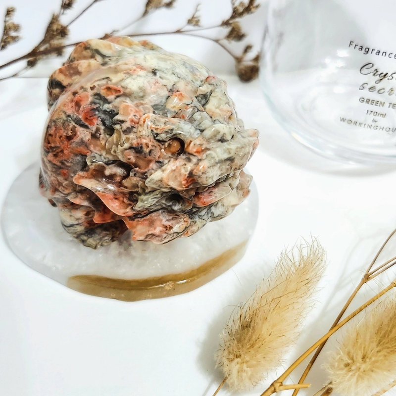 Crazy Lace Agate Dragon Turtle - ของวางตกแต่ง - หยก สึชมพู