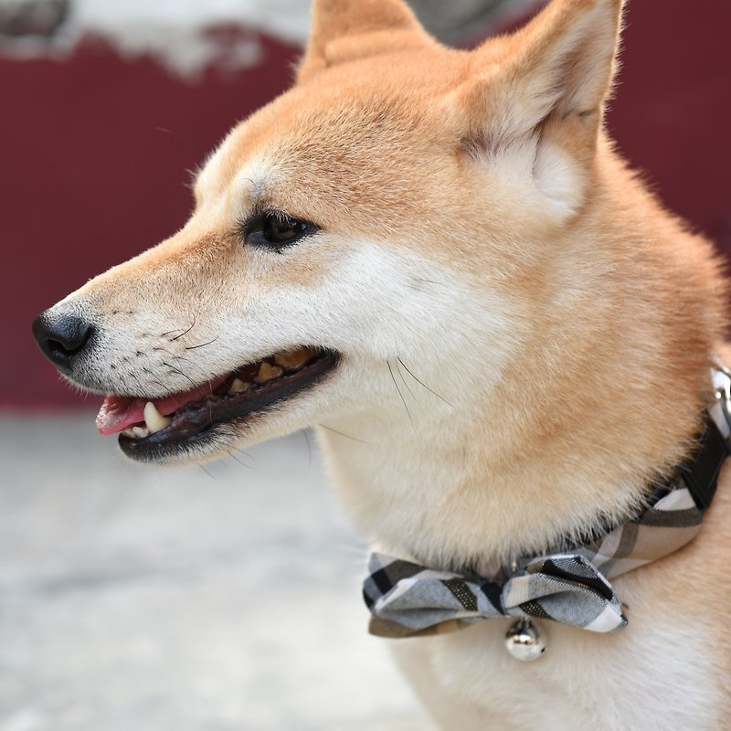 [ZAZAZOO] M code dog collar accessories - noble black - without collar - ปลอกคอ - เส้นใยสังเคราะห์ 
