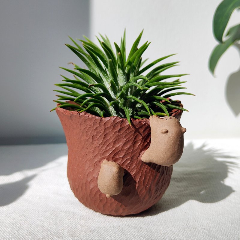 2.75 inch, climbing bears planter. Handmade pot with drainage hole. - Pottery & Ceramics - Pottery 