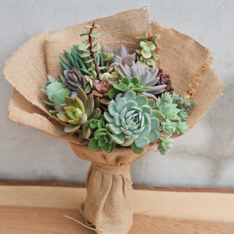 [Doudou Succulents] Housewarming│Gifts│Promotion│Succulent Plants│-Succulent Bouquet - Plants - Cotton & Hemp 