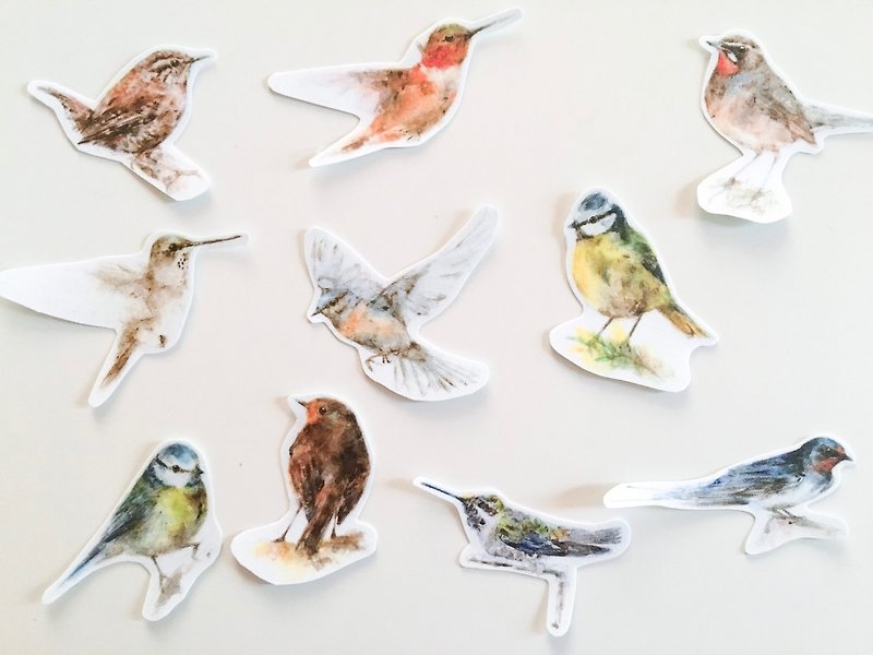 Bird sticker group B - สติกเกอร์ - กระดาษ 