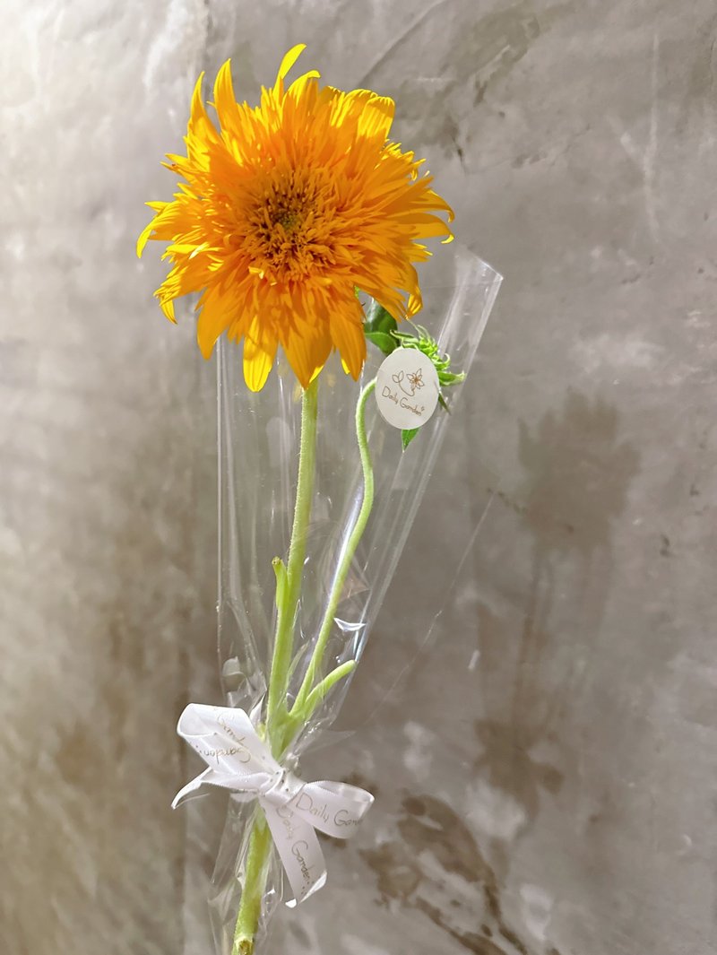 Limited sales at US and Japanese flower shops/Today is Teddy Sunflower. If you have seen it, don’t miss it. It is limited to self-pickup. - Dried Flowers & Bouquets - Plants & Flowers Orange