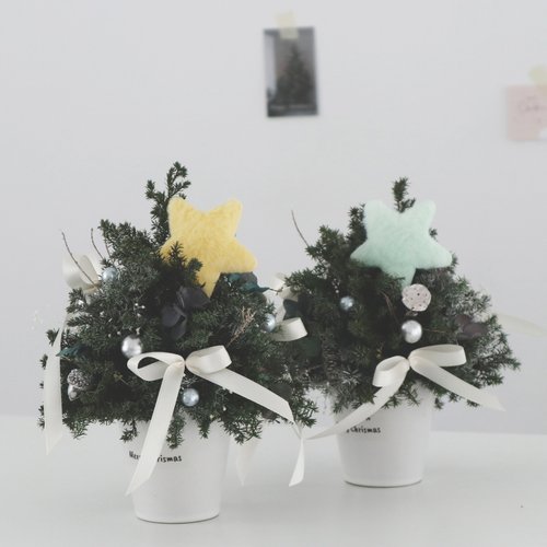| 品樺花坊 | 不凋花 乾燥花 客製化 花禮 聖誕樹 \ 永生雪松 小顆儀式感也足 緞帶公主風 星星